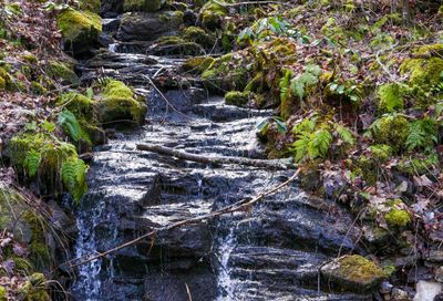 38+Ac Shoals Trail Hiawassee GA 30546