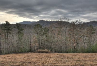40acres Richard's Br Morganton GA 30560