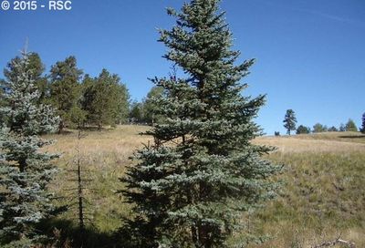 307 Pinaceae Heights Divide CO 80814