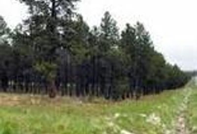 Highway 67 Woodland Park CO 80863