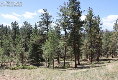 291 Thunder Ridge Drive Woodland Park CO 80863