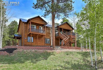 310 Panther Court Woodland Park CO 80863