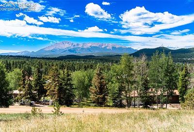 300 Apache Trail Woodland Park CO 80863