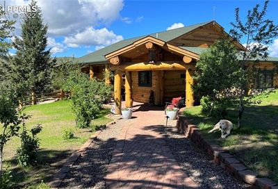 9 County Road 78 Woodland Park CO 80863