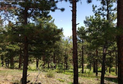 174 Spruce Road Manitou Springs CO 80829
