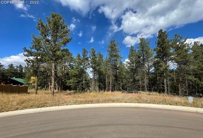 1396 Roberts Ranch Road Woodland Park CO 80863
