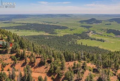 13464 Deer Ridge Way Larkspur CO 80118