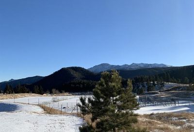 19350 E Highway 24 Woodland Park CO 80863