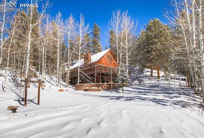 472 Homestead Drive Woodland Park CO 80863