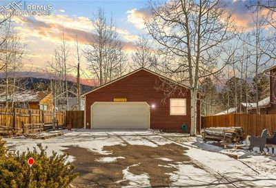 205 S Park Street Woodland Park CO 80863