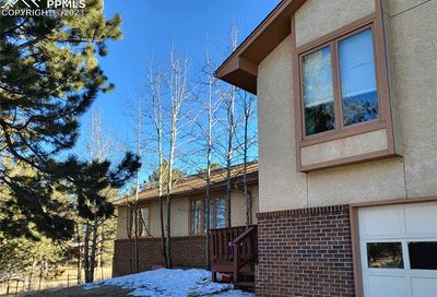 216 Pennsylvania Avenue Woodland Park CO 80863