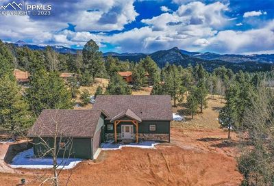 68 W Nevada Circle Florissant CO 80816