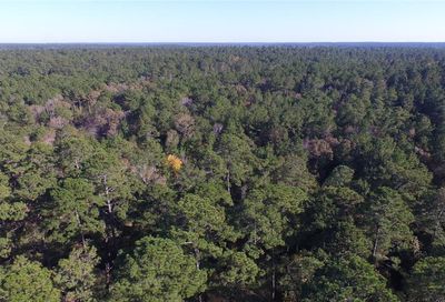 3-1-55 Saddle Ridge Huntsville TX 77340