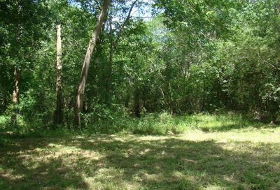 1315 Woodvine Friendswood TX 77546