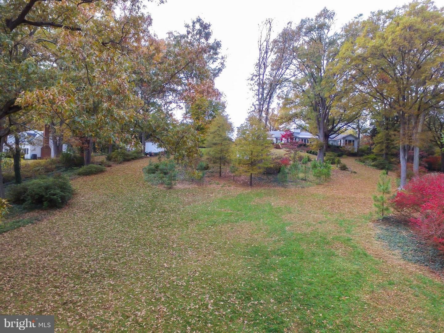 806 Beverly Drive