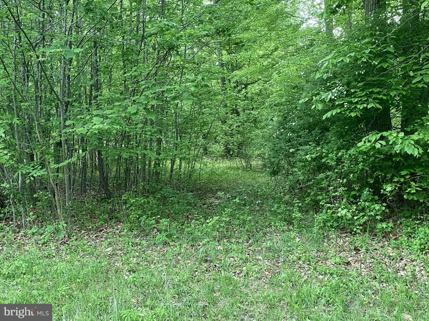 Teats Branch Road