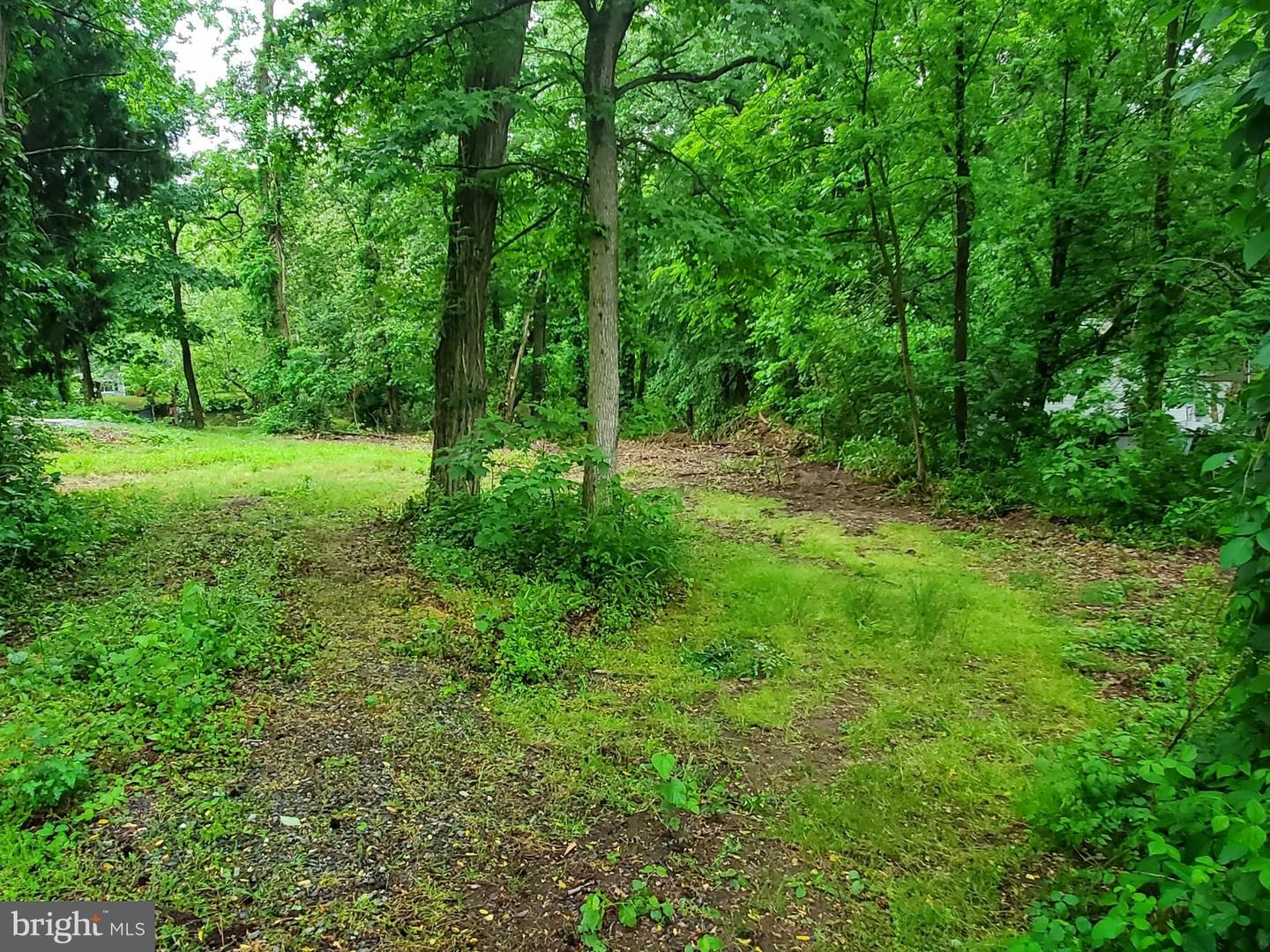 River Bend Lane