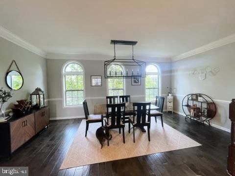 43206 Wild River Square