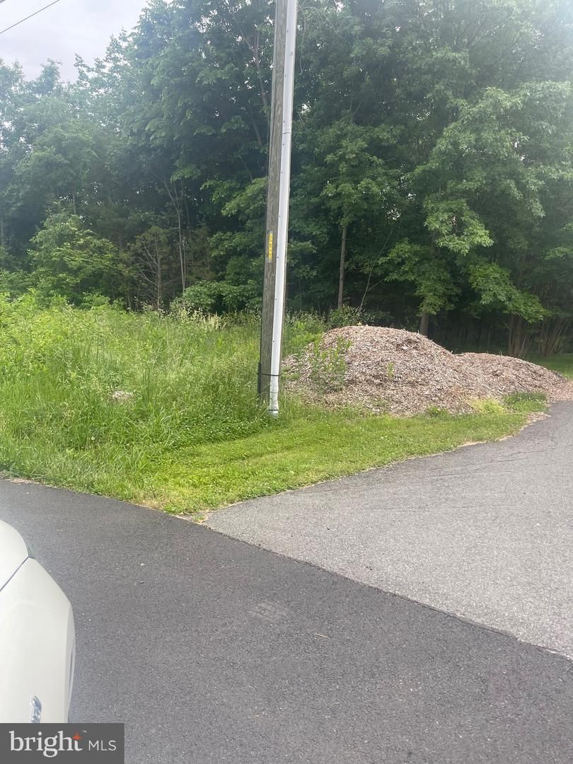 Mountain View Drive