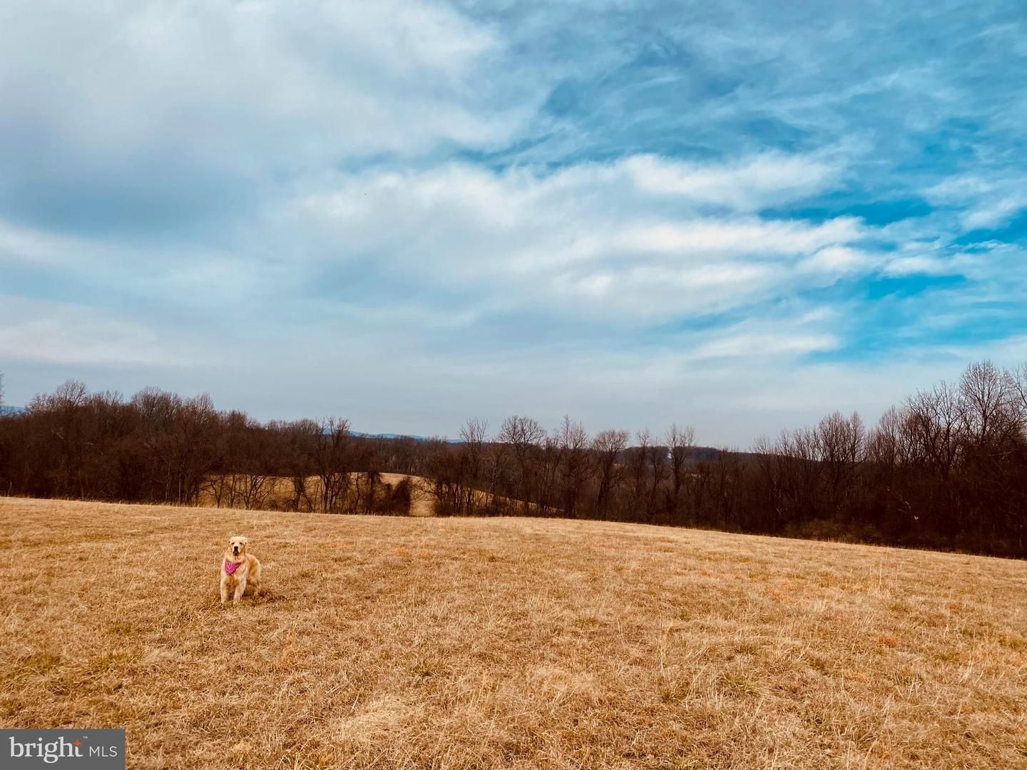 Hughesville