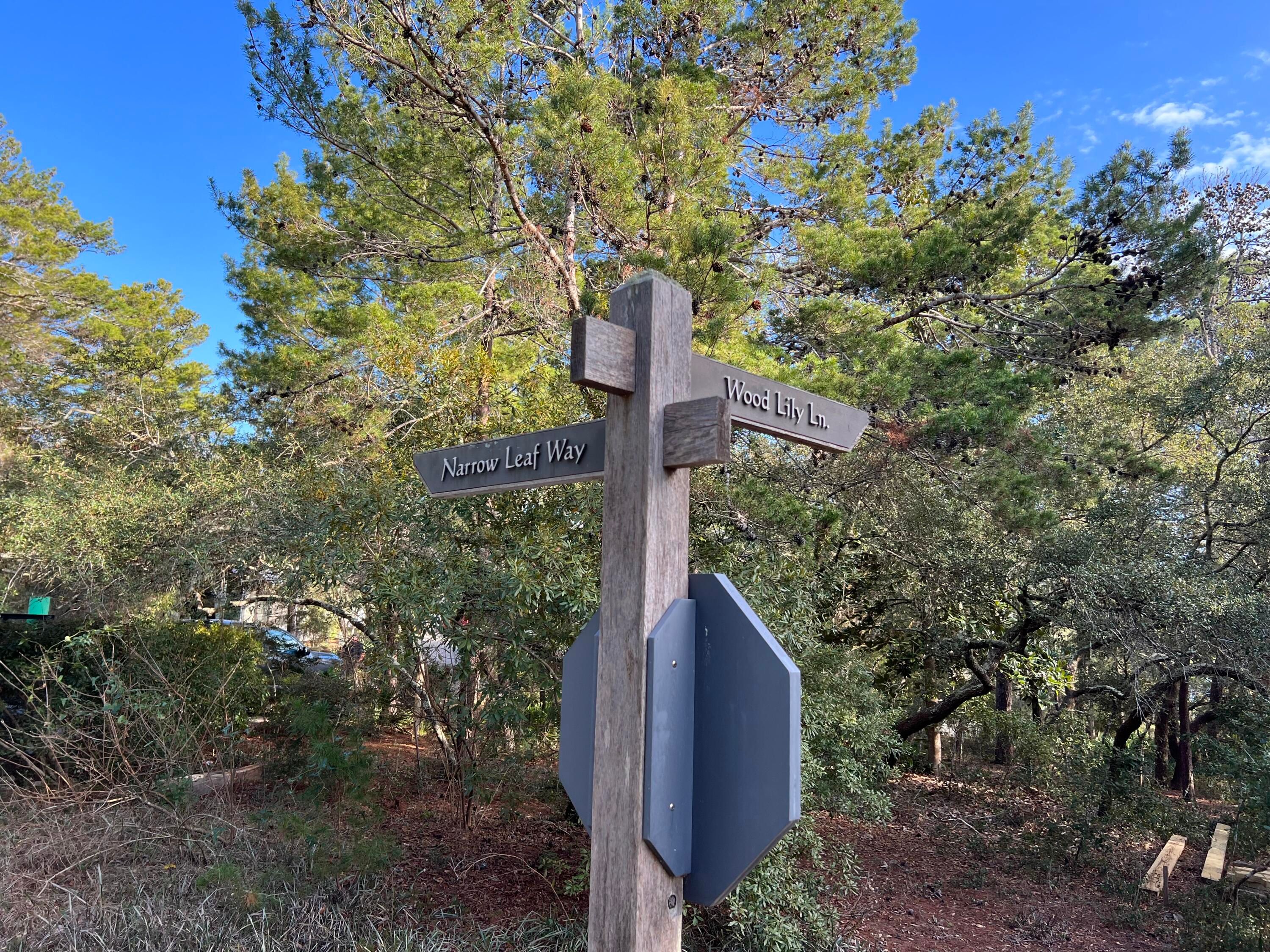 12-1 Wood Lily Lane