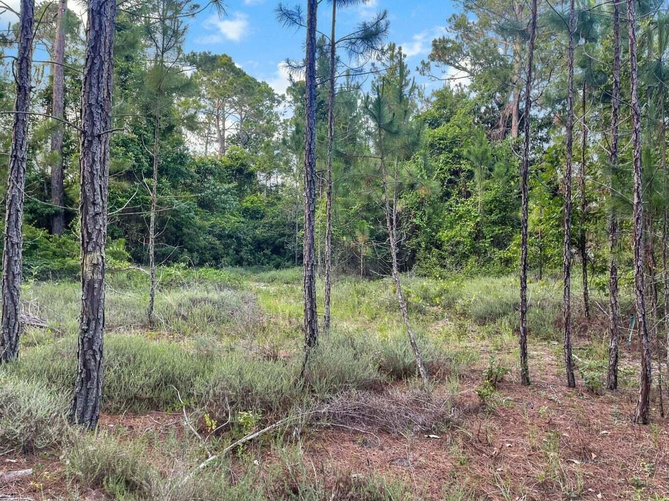 Lot 28 Rivercrest Circle