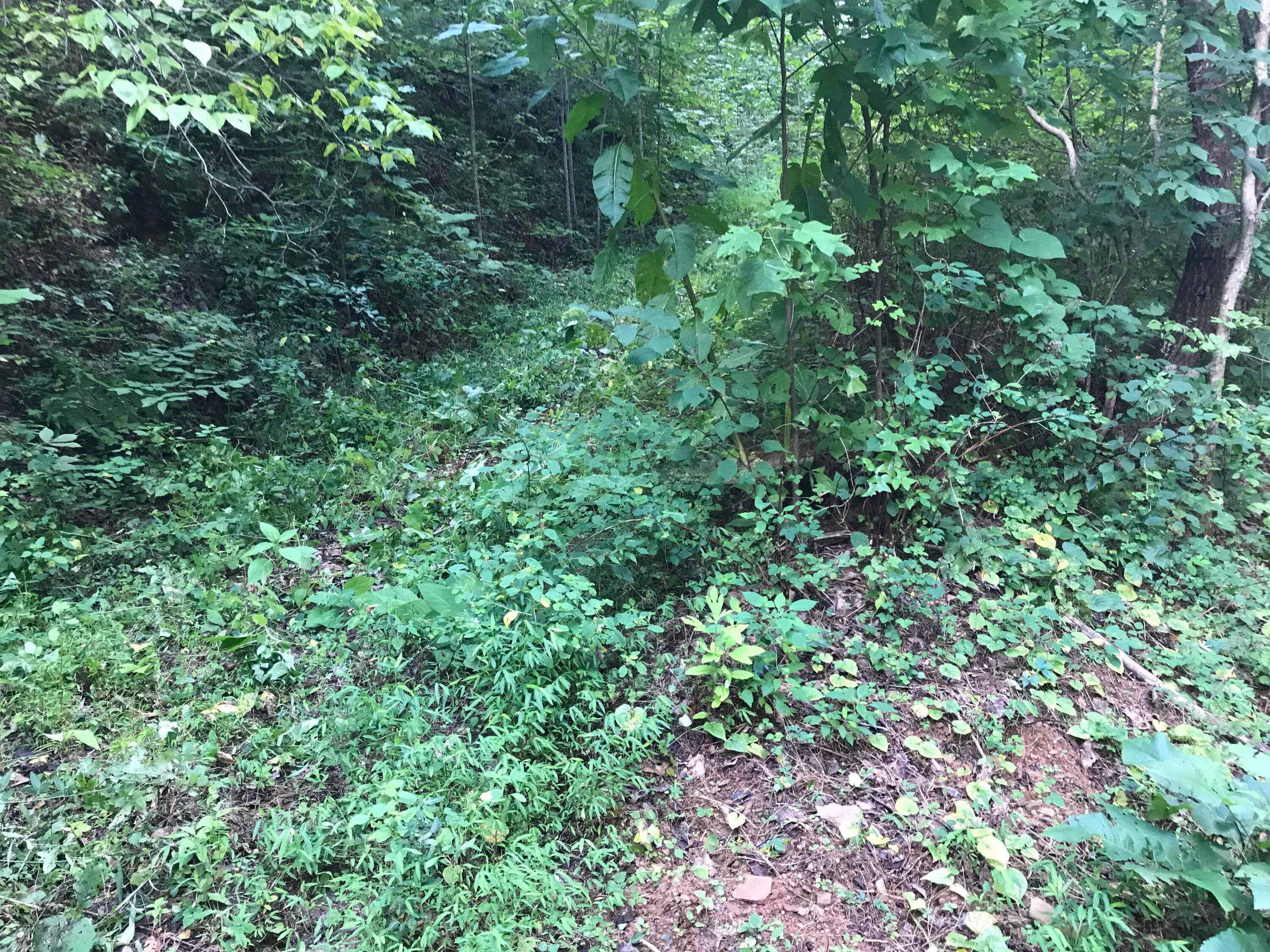 39.9 Ac. Boiling Springs Rd.
