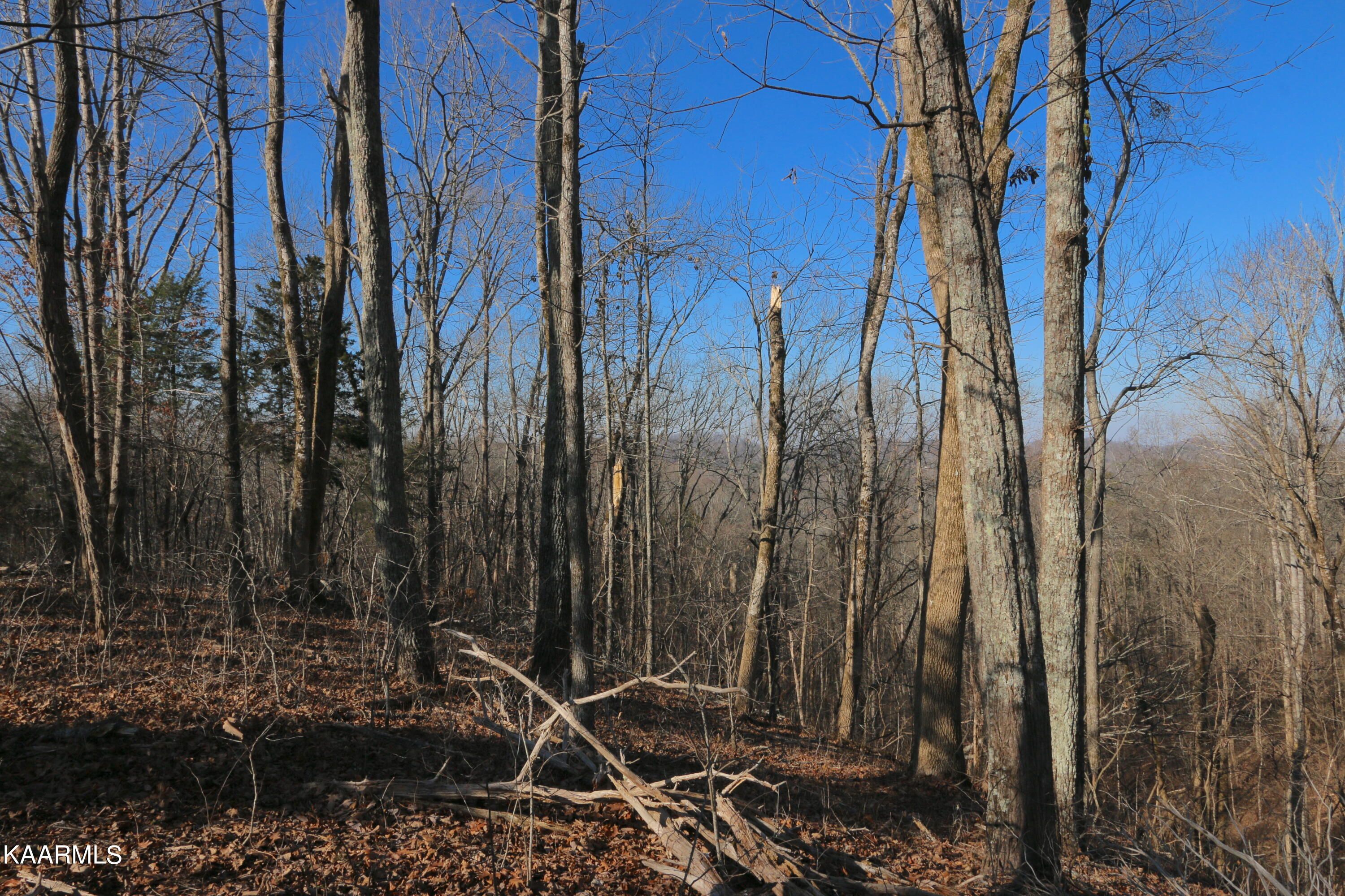 Lot 81 Polly Mountain Rd