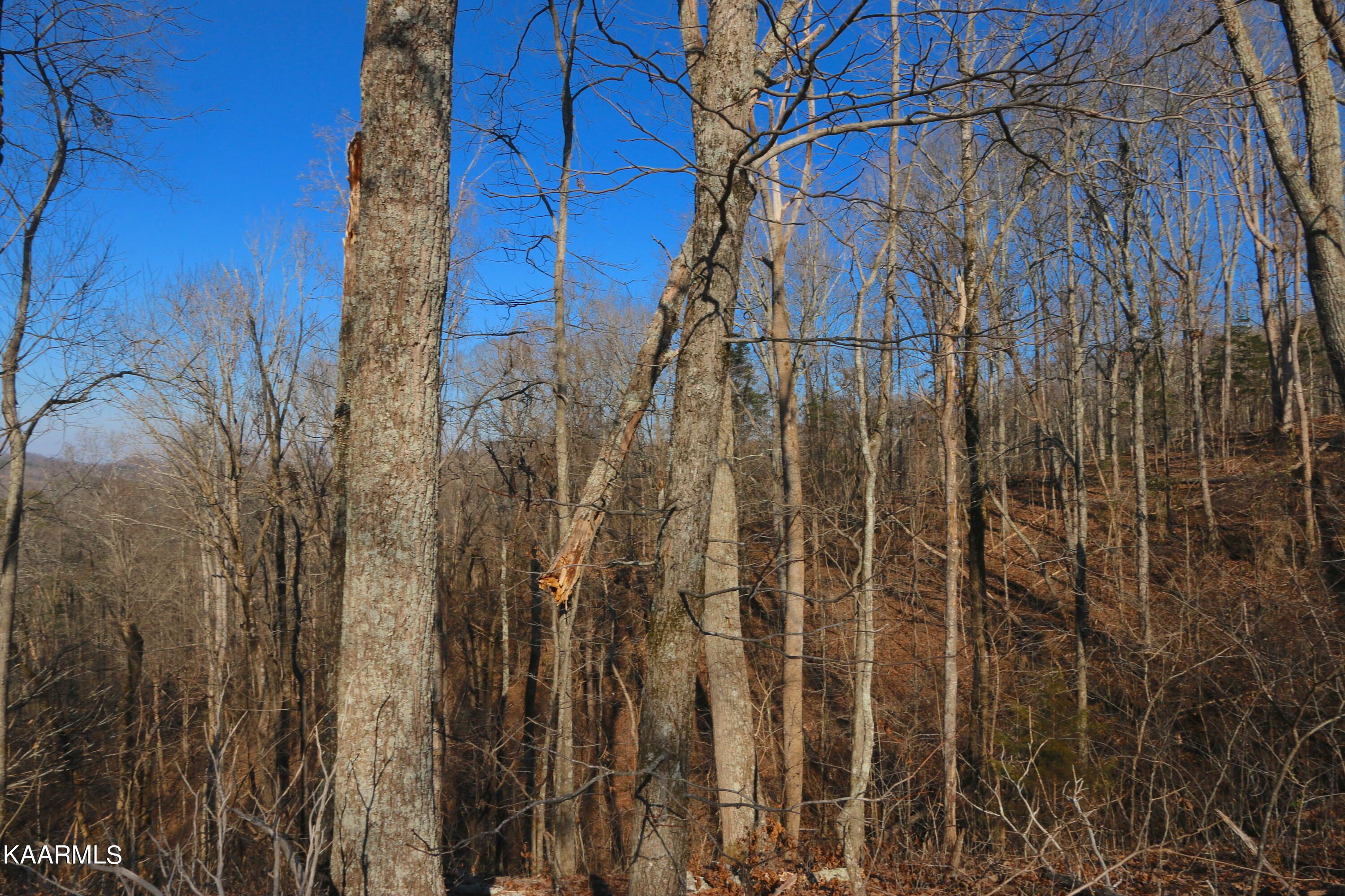 Lot 81 Polly Mountain Rd