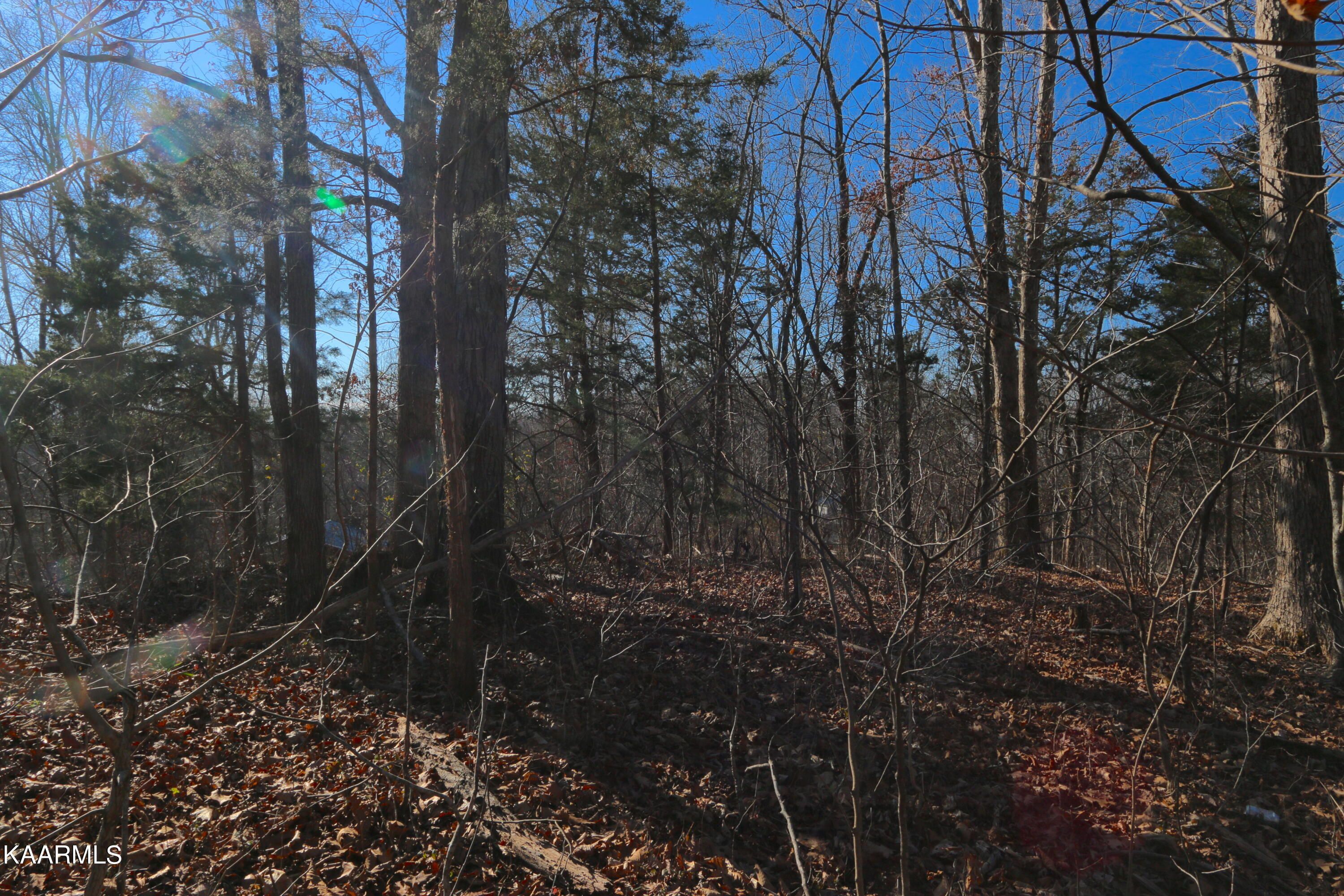 Lot 81 Polly Mountain Rd
