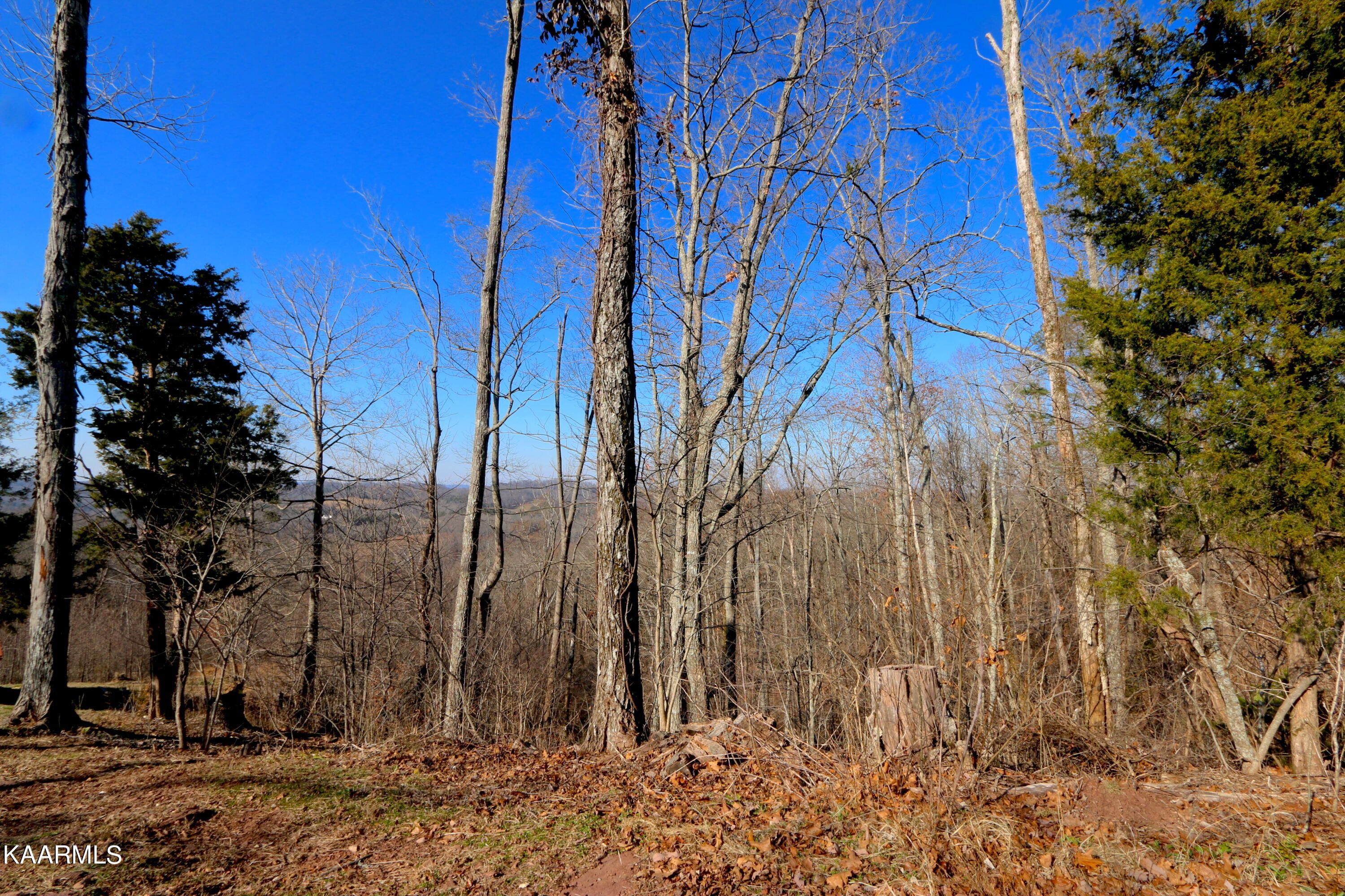 Lot 135 Polly Mountain Rd