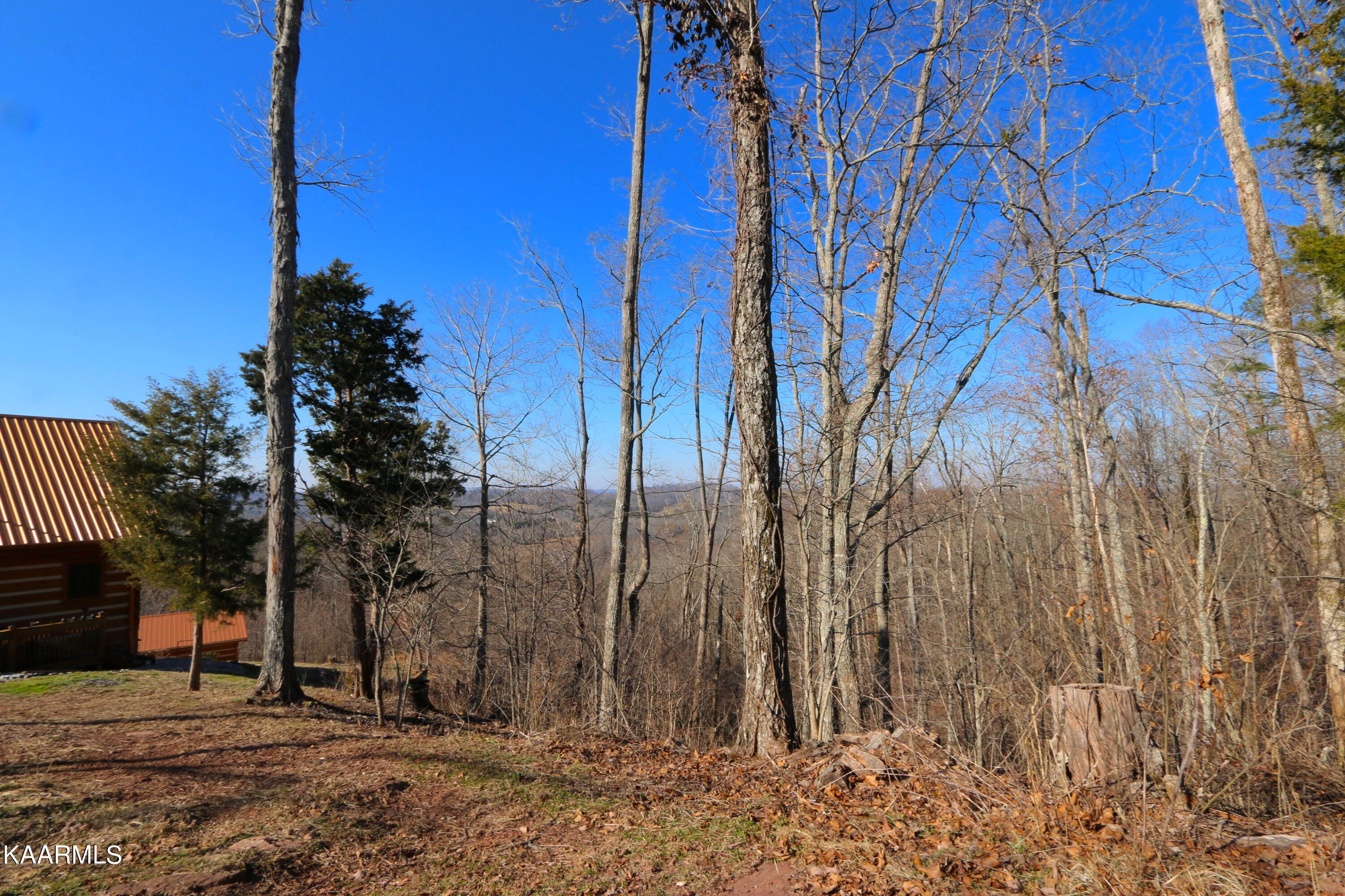 Lot 135 Polly Mountain Rd