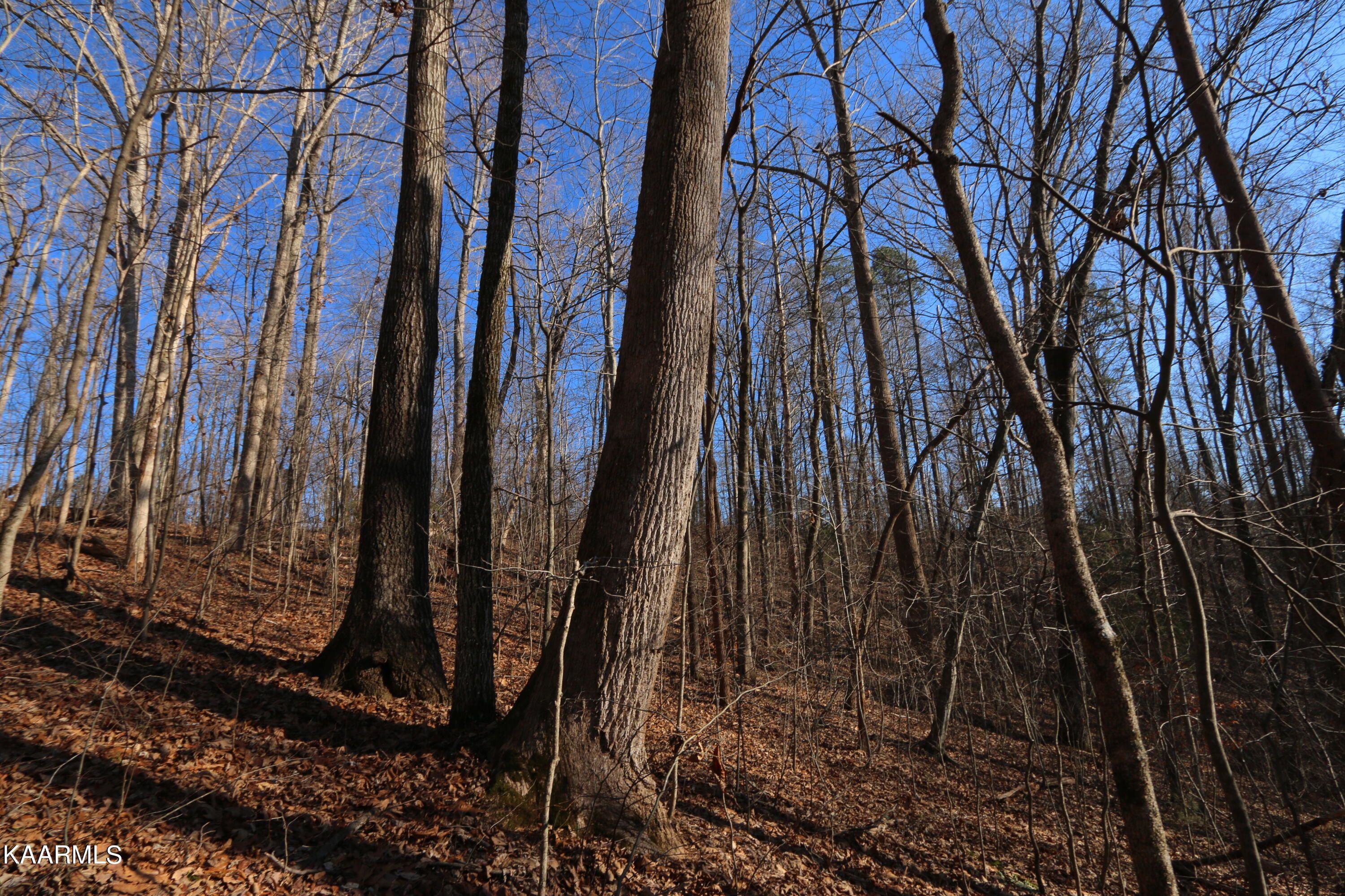Lot 91, 92 Polly Mountain Rd