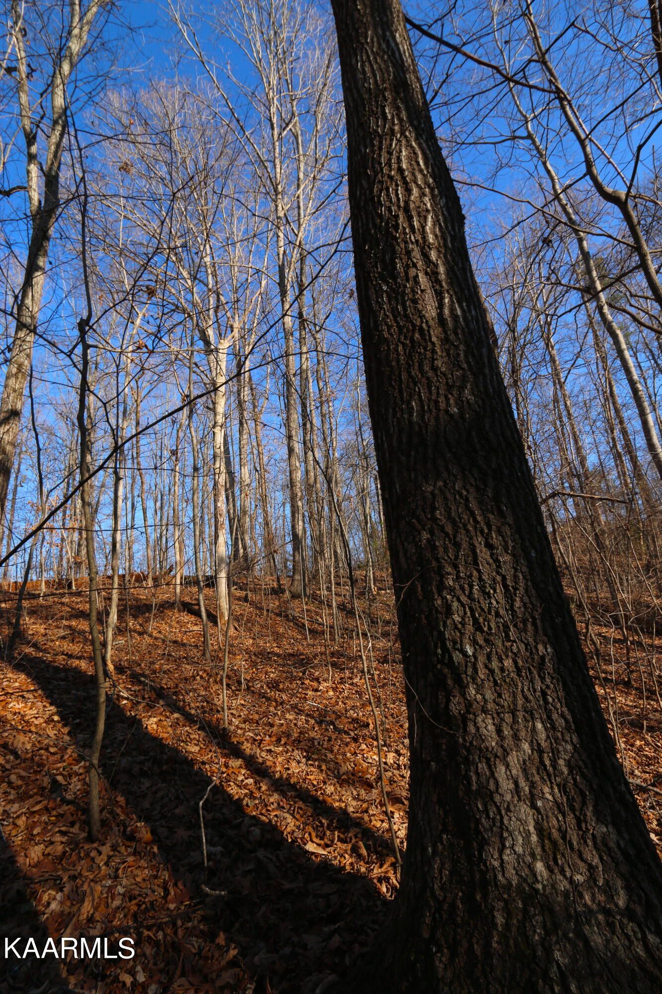 Lot 91, 92 Polly Mountain Rd
