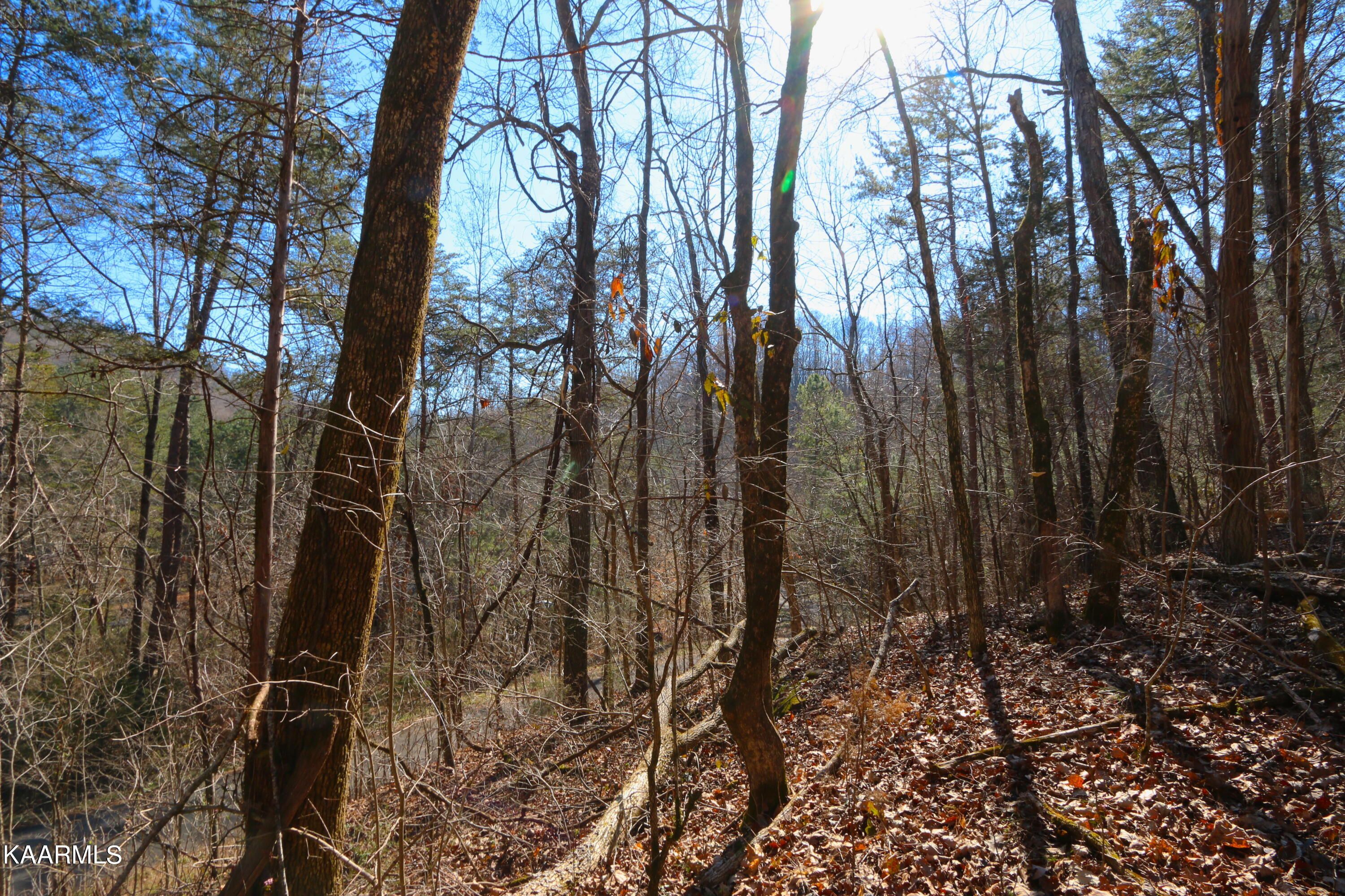 Lot 156 Laurel Lake Cir