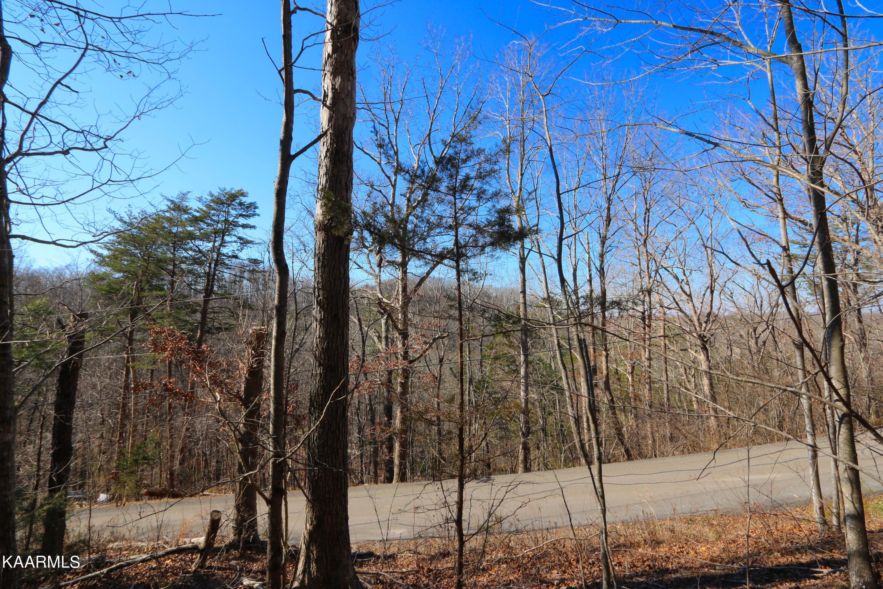 Lot 219 Laurel Mountain Rd