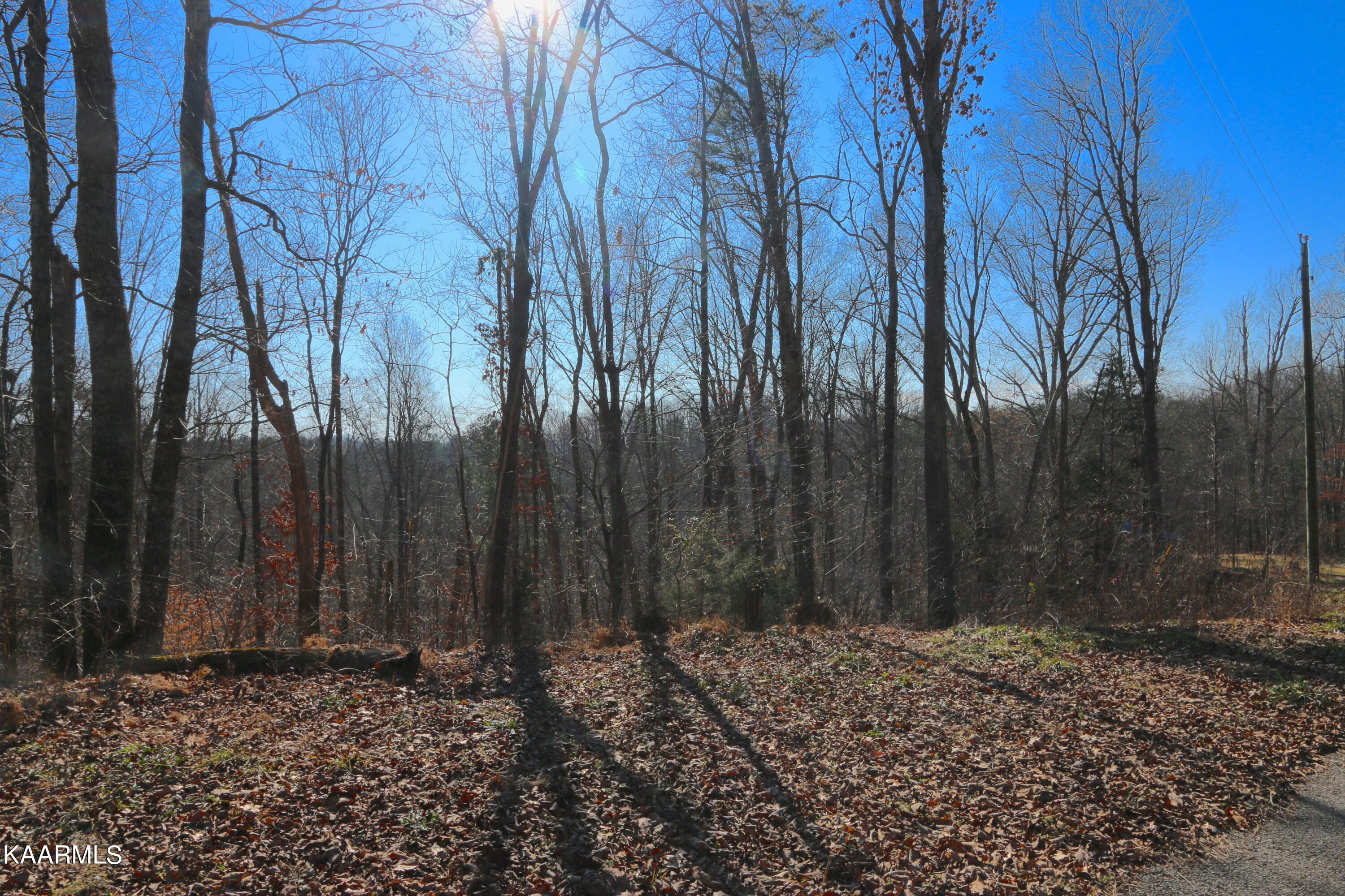 Lot 138, 139 Polly Mountain Rd