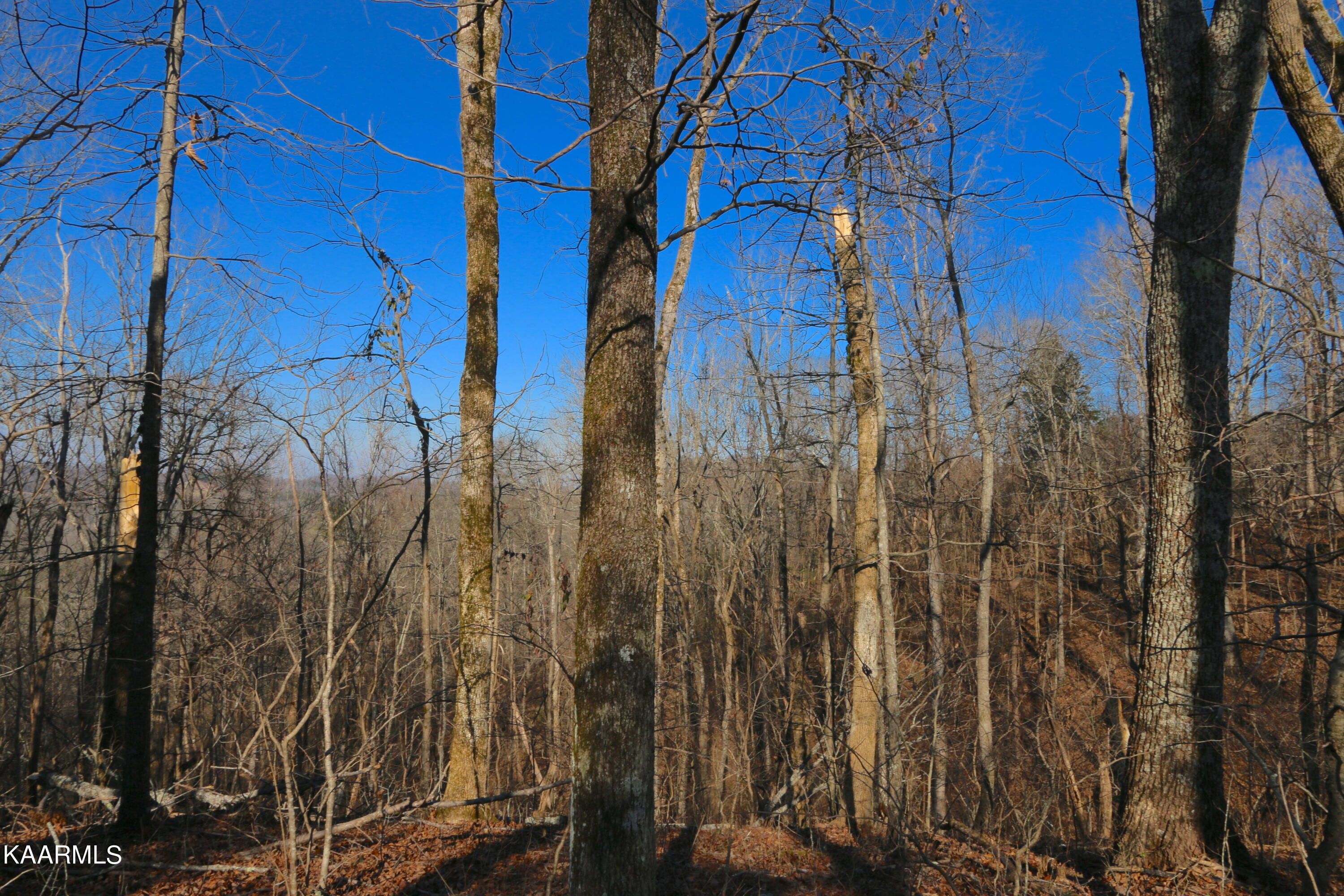 Lot 138, 139 Polly Mountain Rd