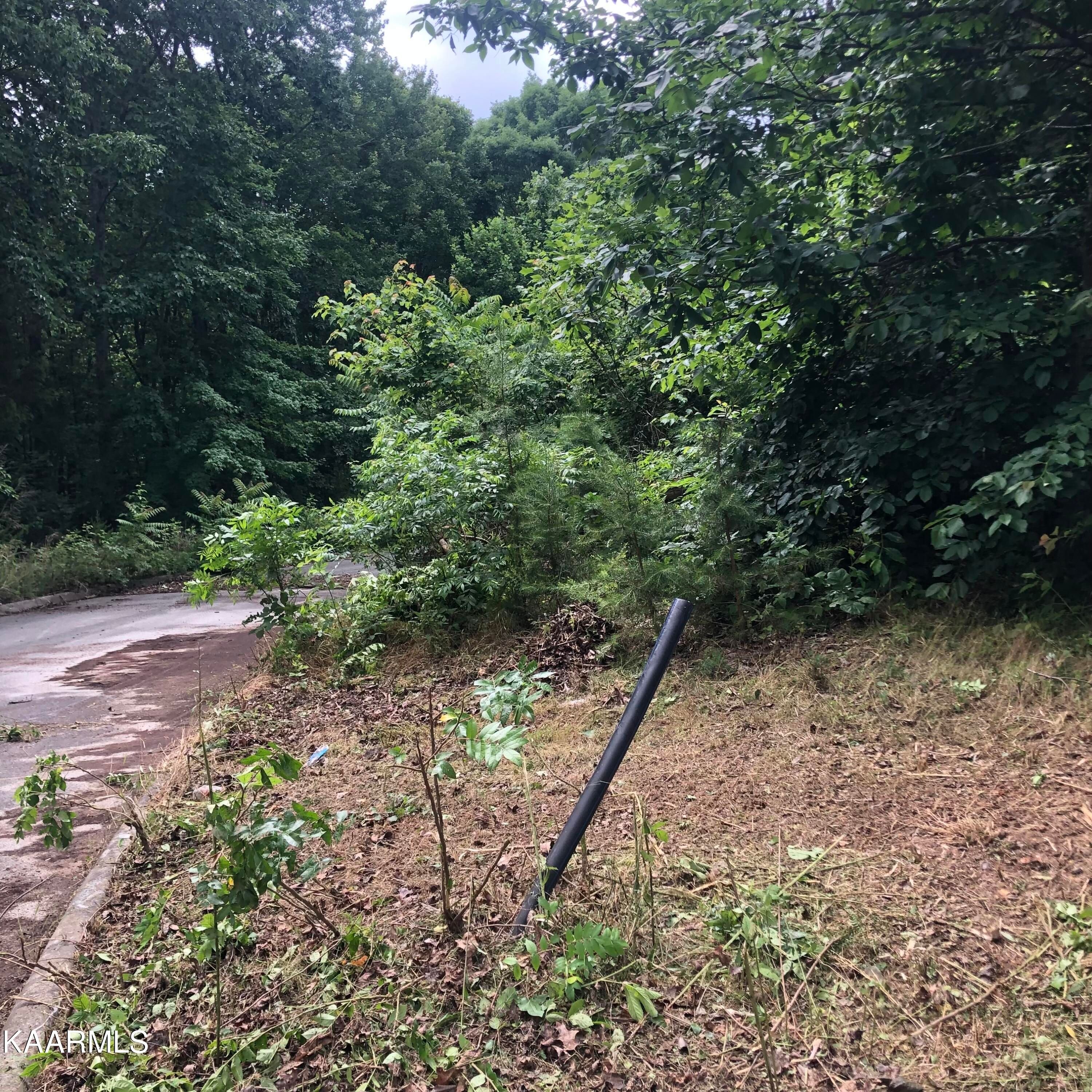 Lot 164 County Road 316