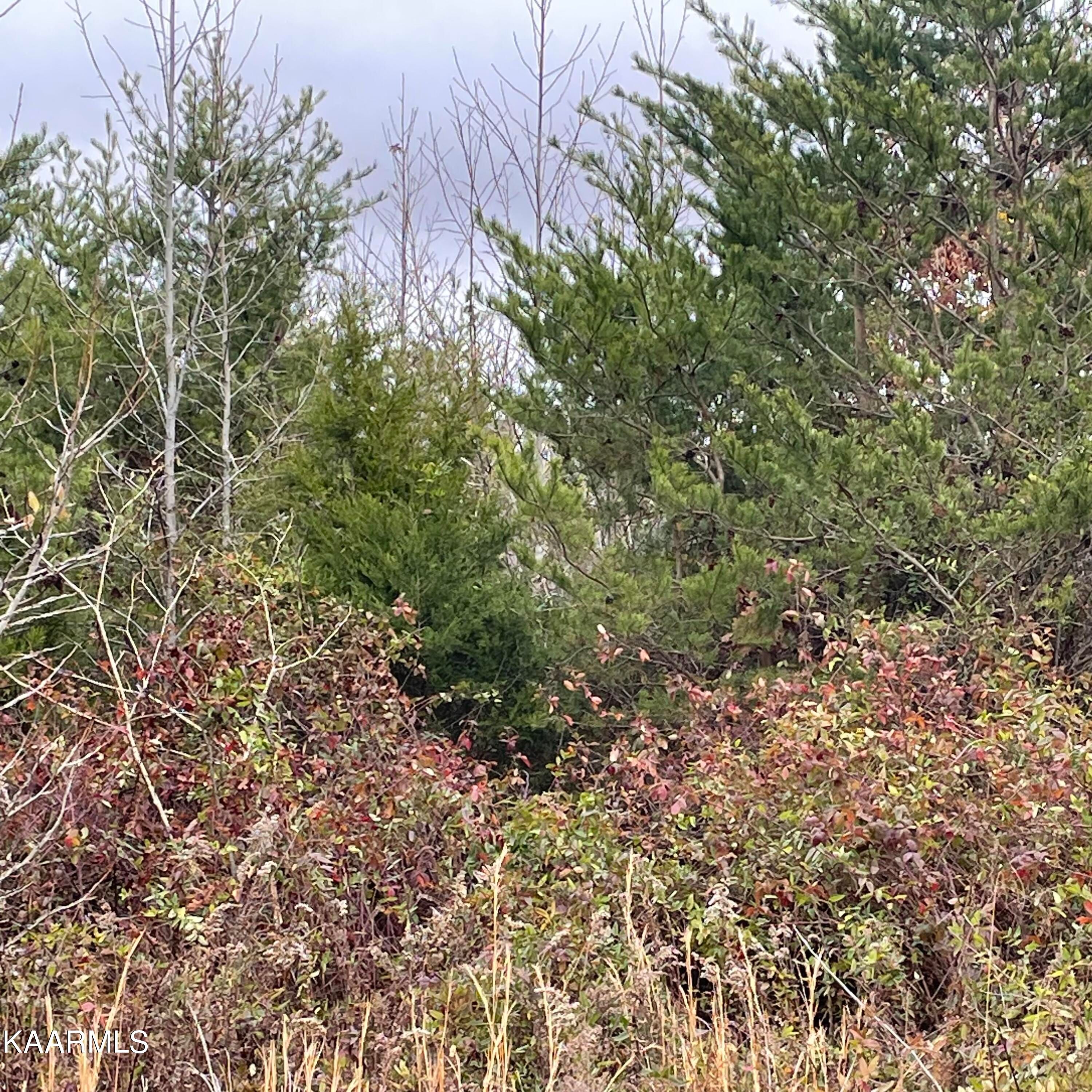 Lot 5 Saffles Lane