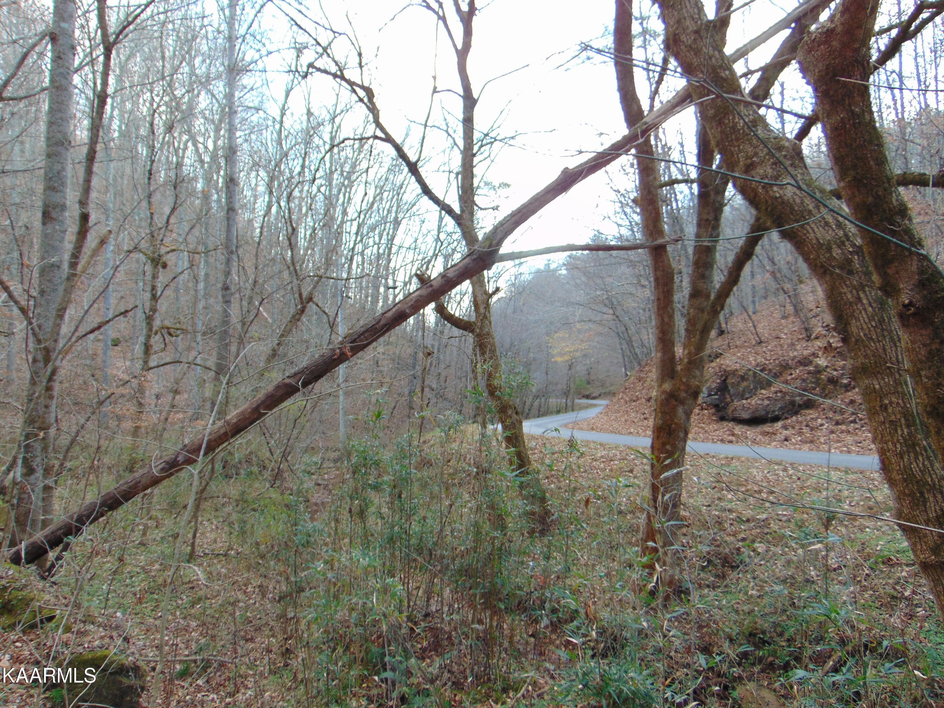 1075 County Road 480