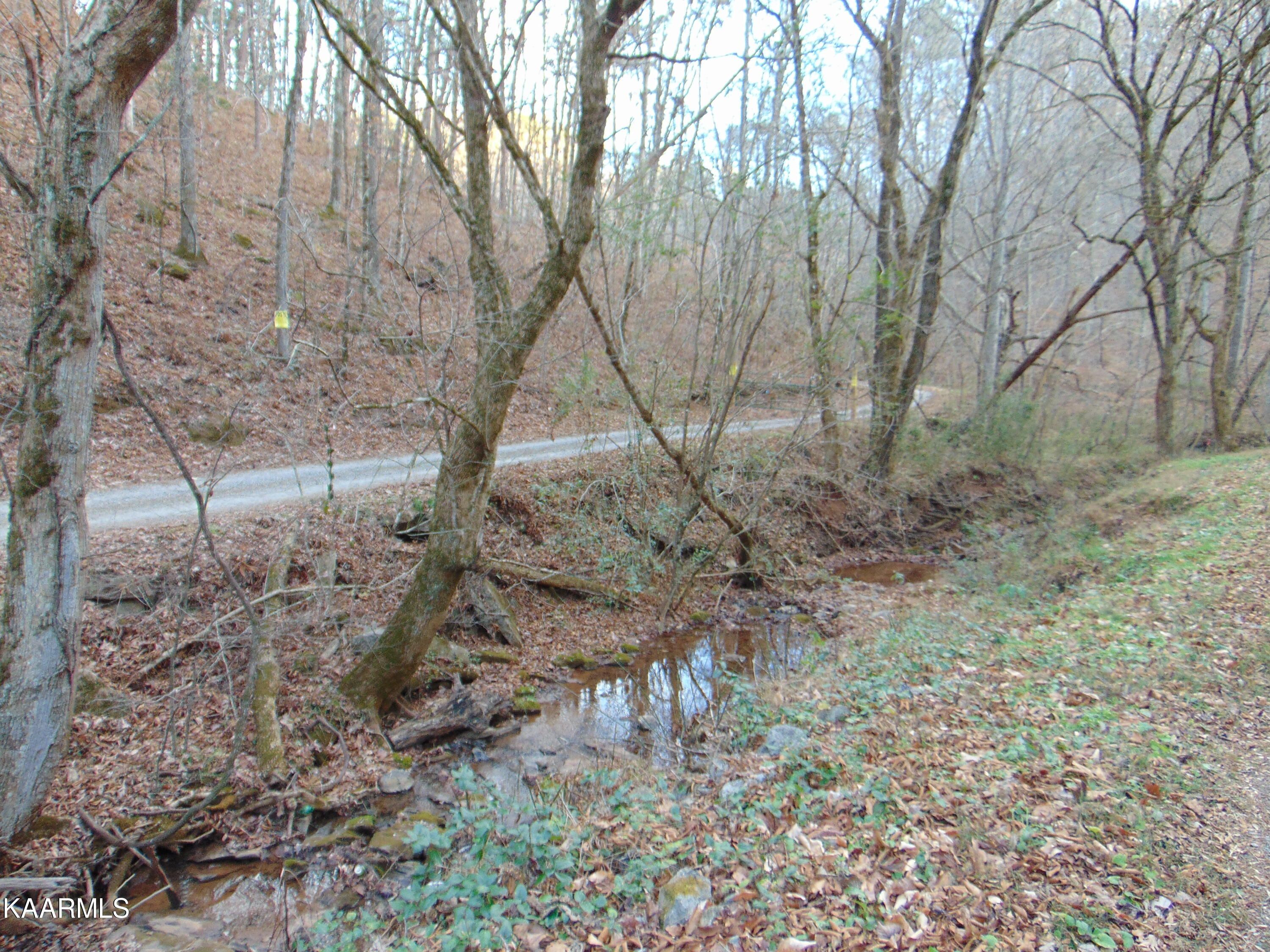 1075 County Road 480 Lot 7