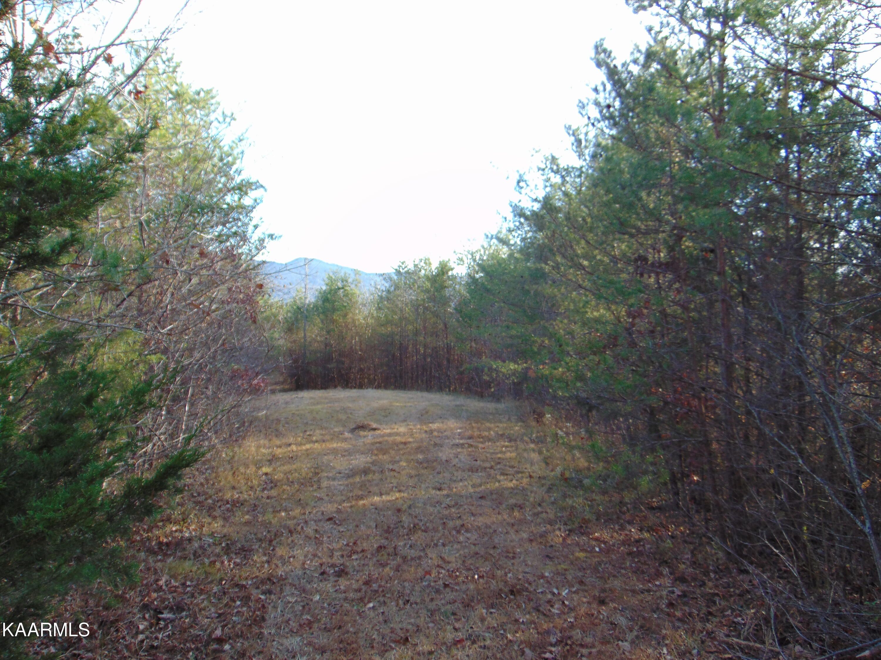 1075 County Road 480 Lot 6