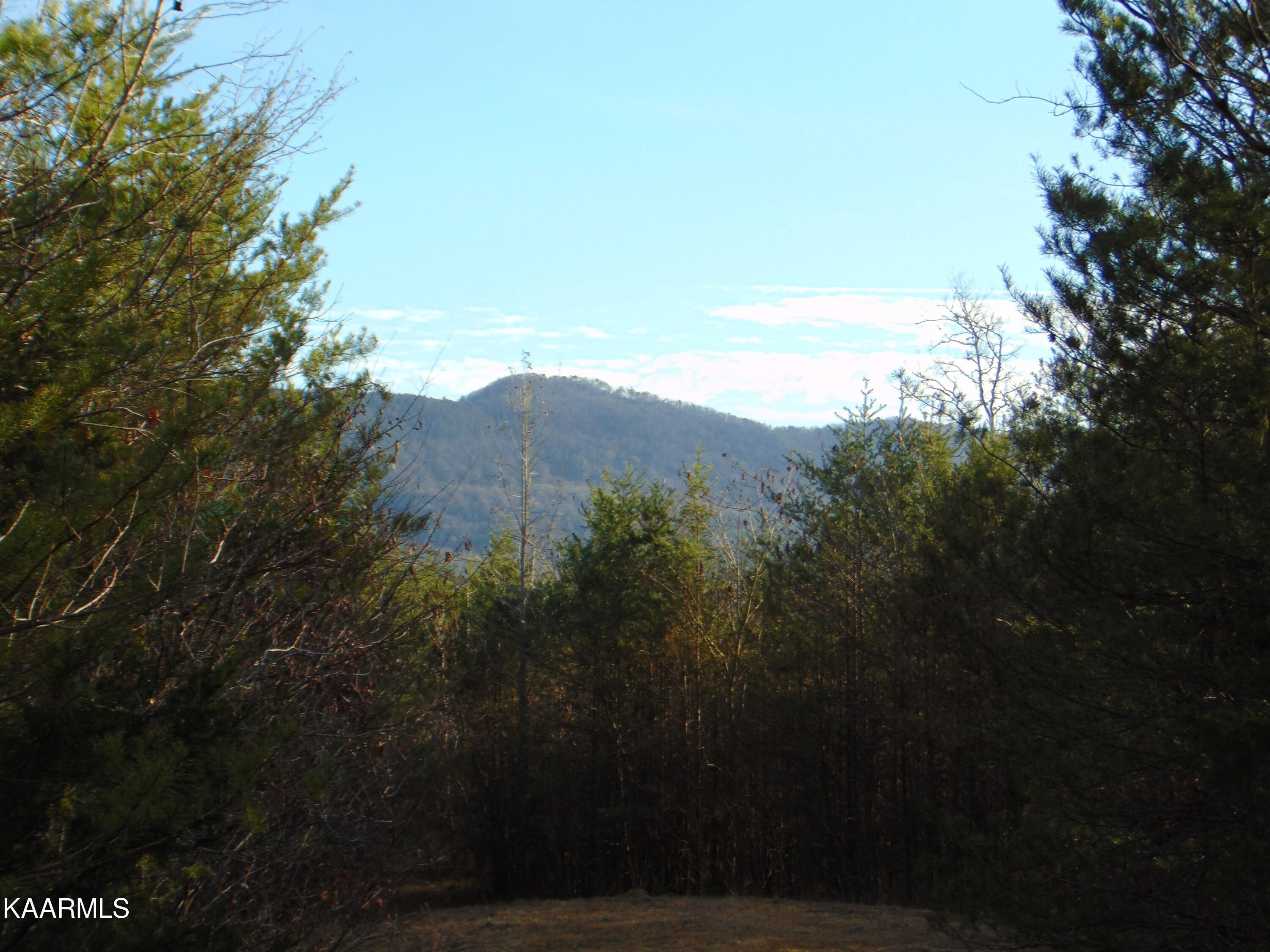1075 County Road 480 Lot 6