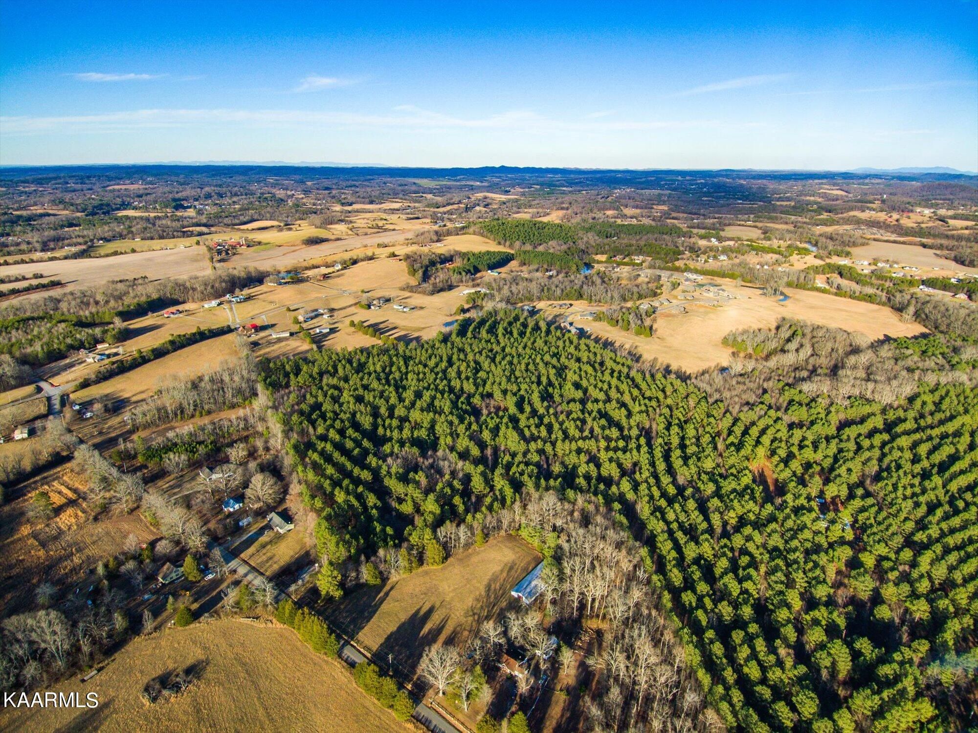 2227 County Road 561 Tracts 1 & 2