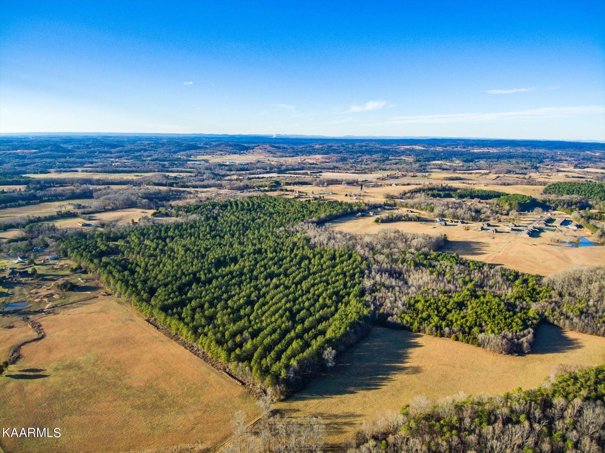 2227 County Road 561 Tracts 4 & 5