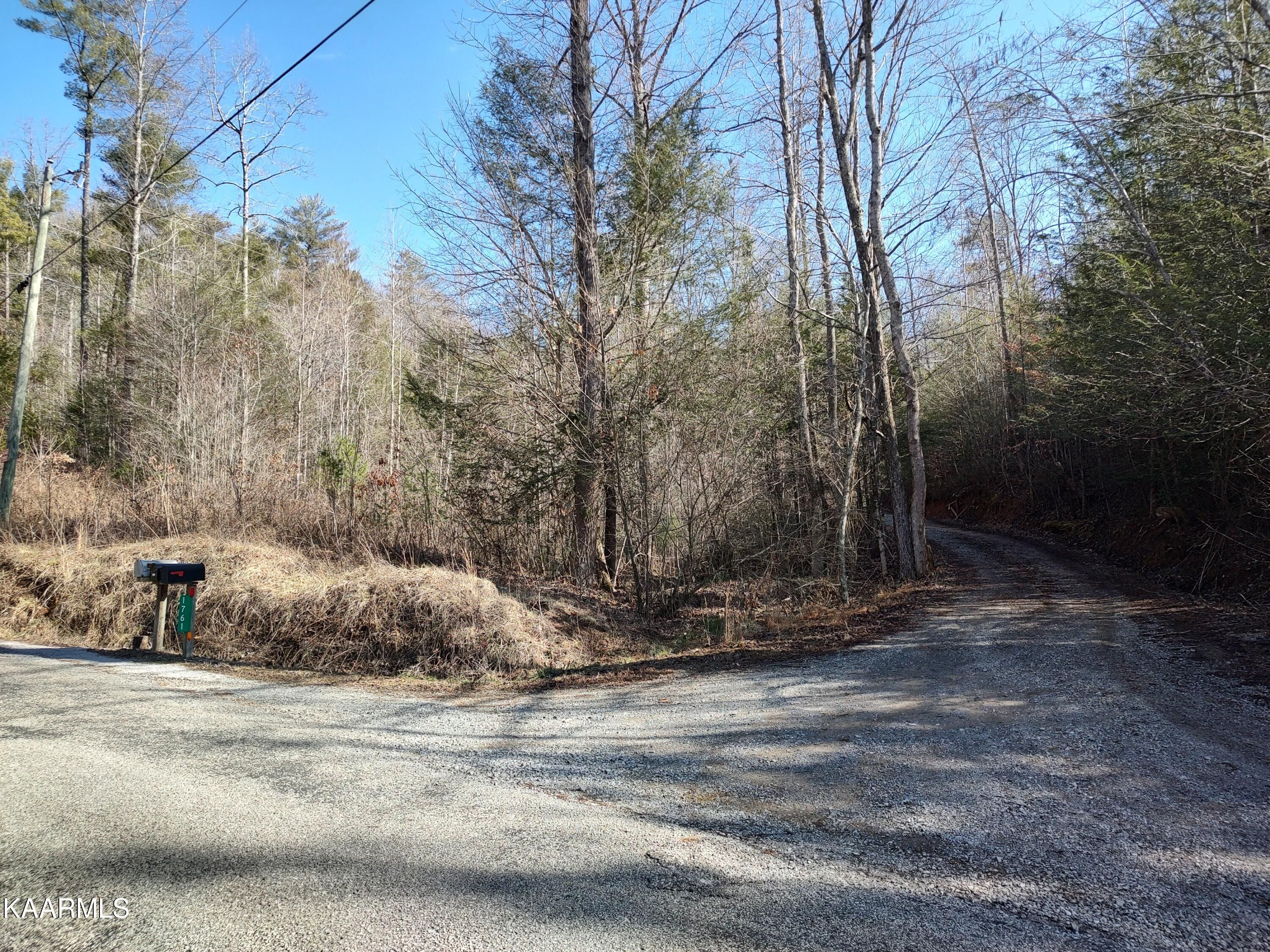 Cane Creek Mountain Rd