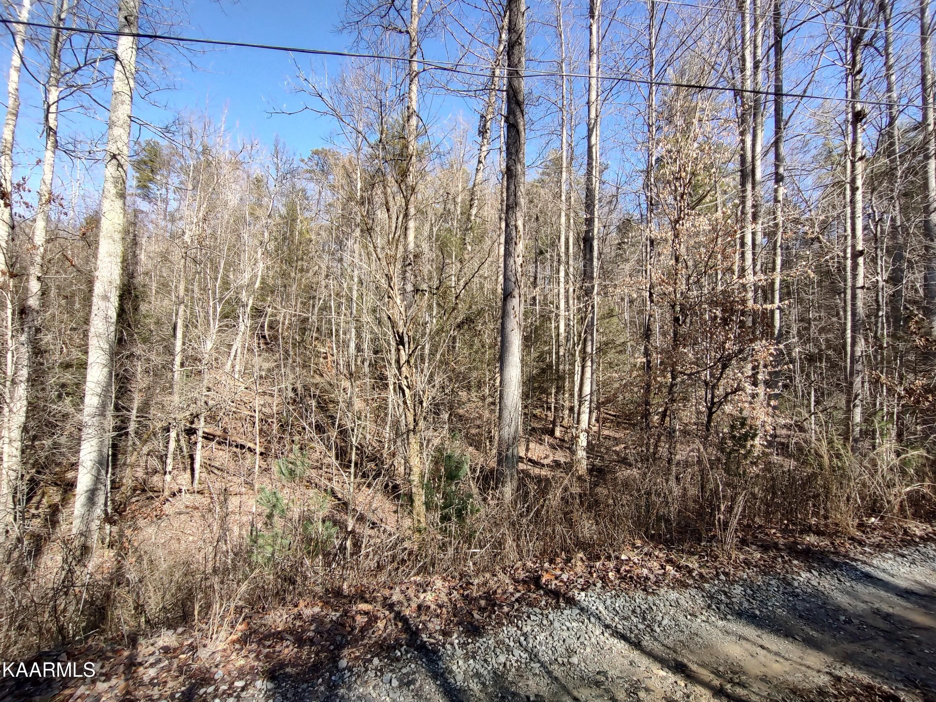 Cane Creek Mountain Rd
