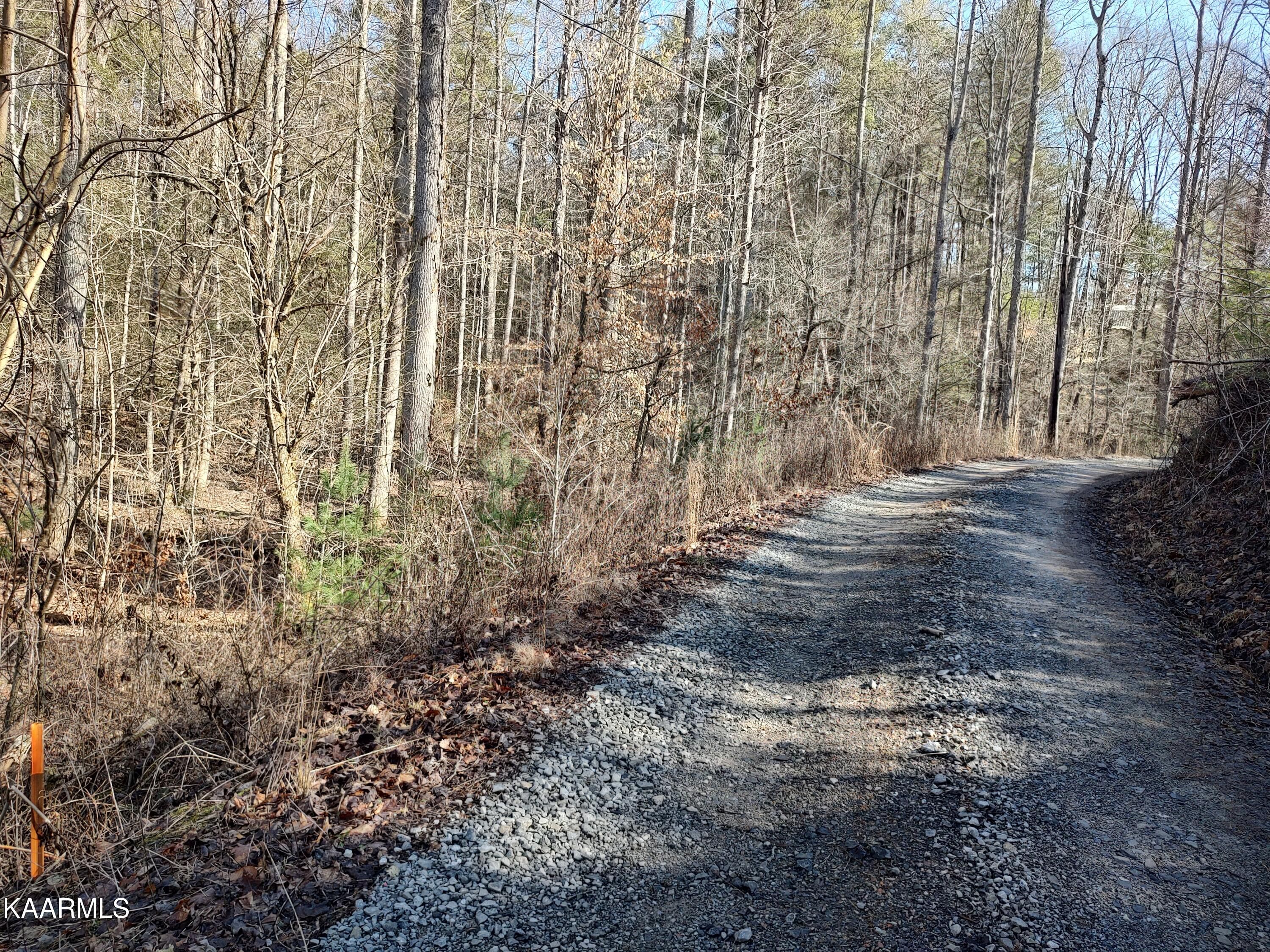 Cane Creek Mountain Rd