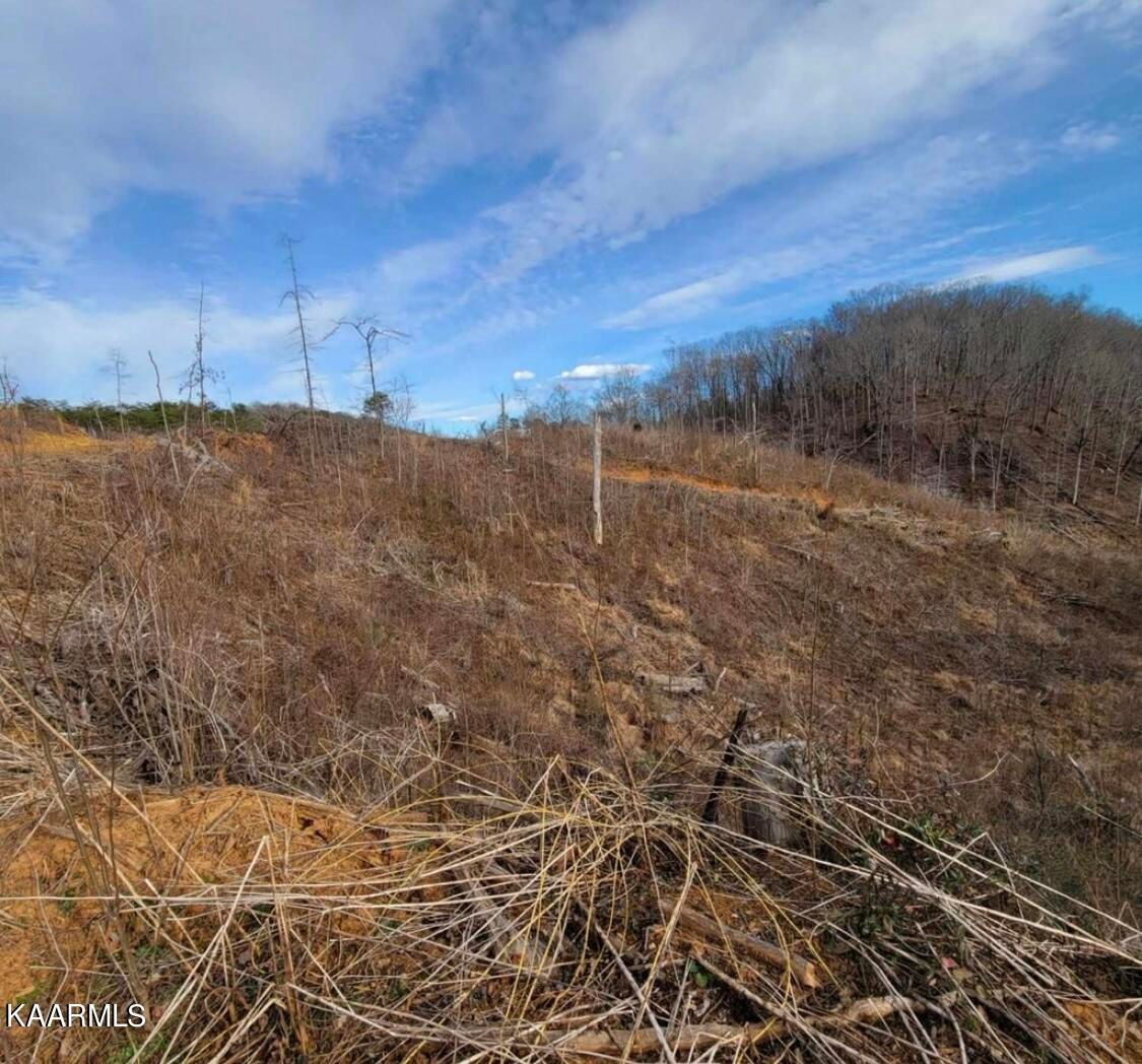 Loftis Hill Rd